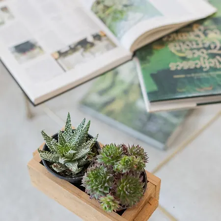 Havre De Paix Renove Repos, Partage, Serenite شقة *