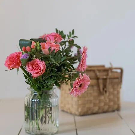 Havre De Paix Renove Repos, Partage, Serenite شقة