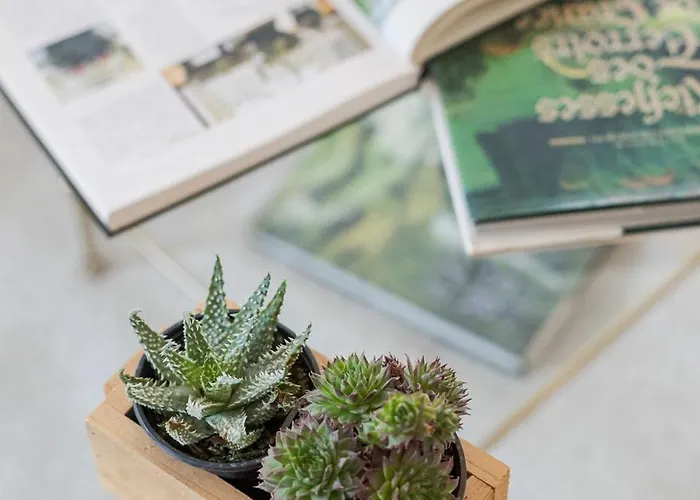 Havre De Paix Renove Repos, Partage, Serenite Апартаменты *